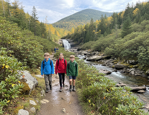 Graveyard Fields Loop trail